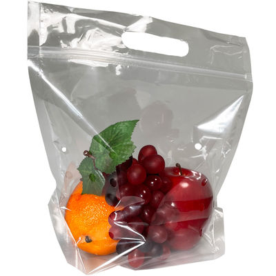 O plástico do fechamento do fecho de correr imprimiu sacos Ziplockk com Logo Fruit Stand Up Pouch com punho